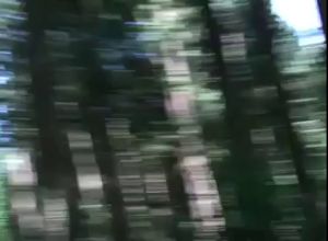 В лесу трахает жену в анальную дырку